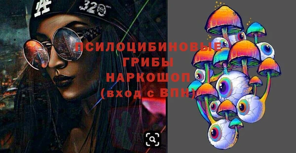 винт Лабытнанги